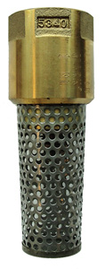 CM BRASS FOOT VALVE 3/4 NL Image
